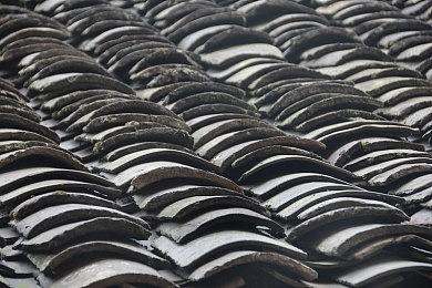 派对游戏《咕喵怪物》上线Steam 支持简繁体中文